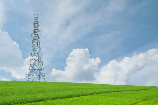 Nagyfeszültségű tornyok és kábelek mezőgazdasági területeken a kék ég Stock Fotó