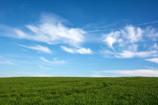 Agricultura suíça - Campo de grama verde com bela nuvem  - — Fotografia de Stock