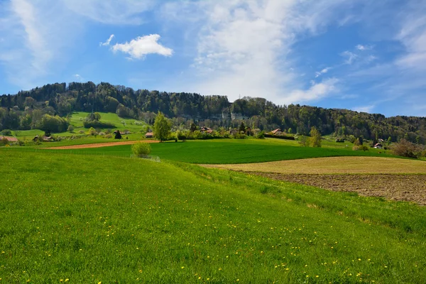 Schweizer Sommer Naturlandschaft — Stockfoto