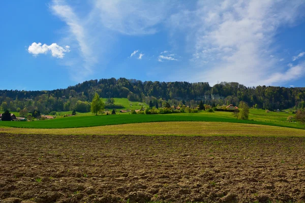 The Swiss Village Surrounded and Plowed Fields — Stock Photo, Image