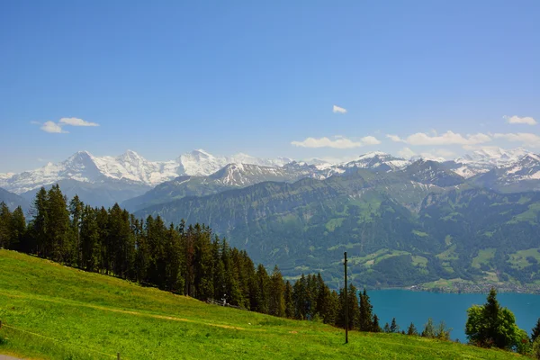 Panorama with alpine meadow from Niederhorn — Stock Photo, Image