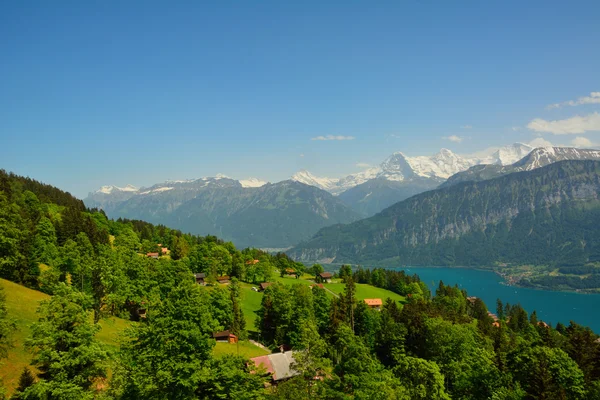 Niederhorn dan dağ çayır ile Panorama — Stok fotoğraf