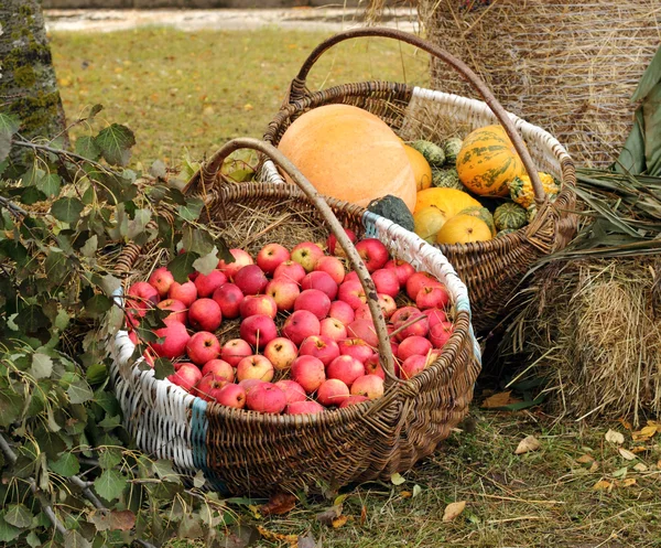 Garten-Leckereien im Herbst — Stockfoto