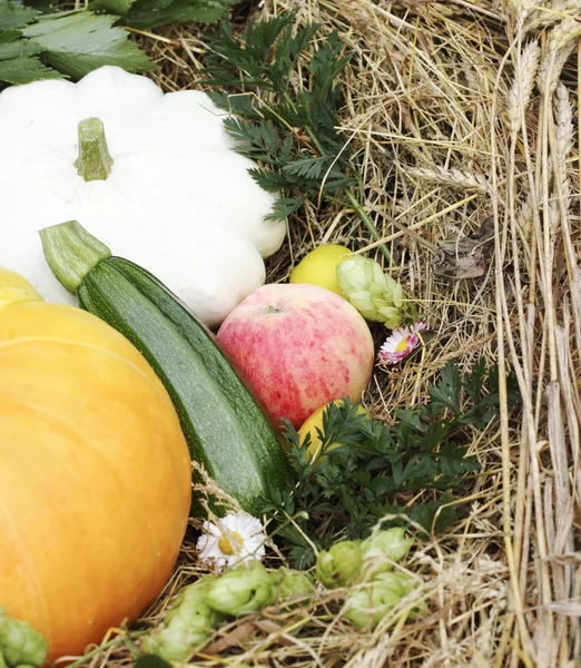 Herbstliche Leckereien — Stockfoto