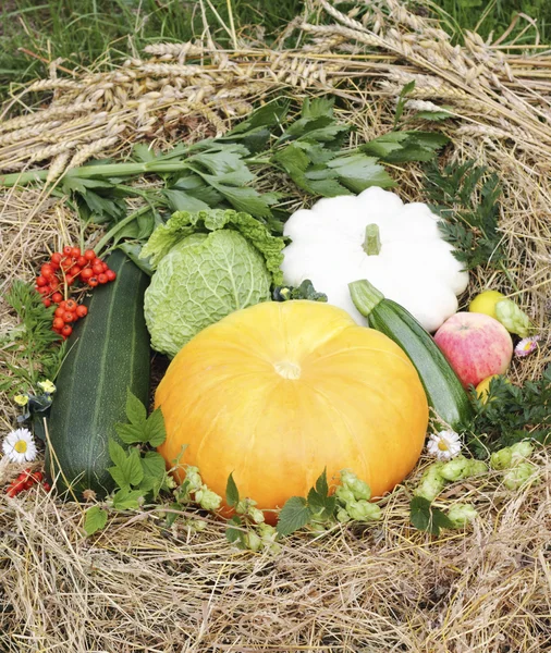 Herfst goodies — Stockfoto