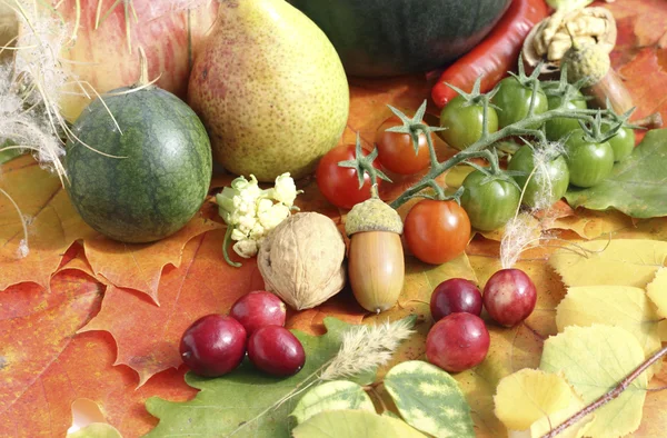 Gesundes Bio-Gemüse und -Obst — Stockfoto