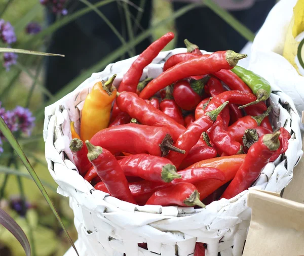 Papryka chili — Zdjęcie stockowe