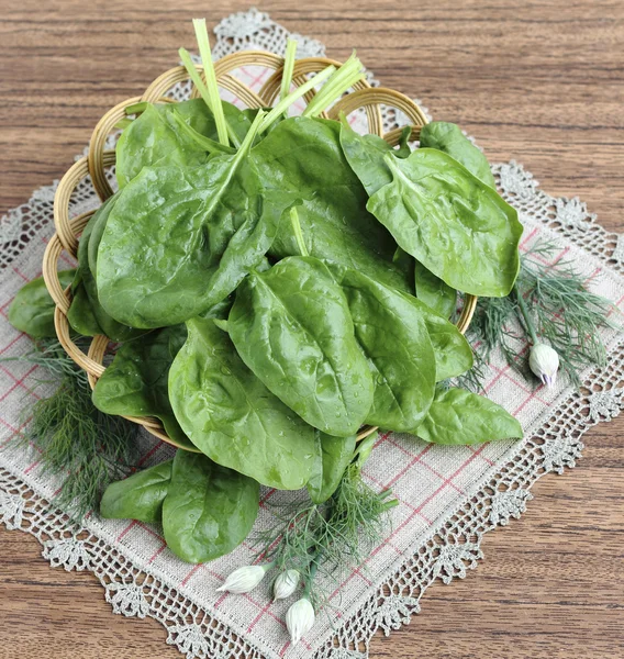 Hojas de espinaca — Foto de Stock