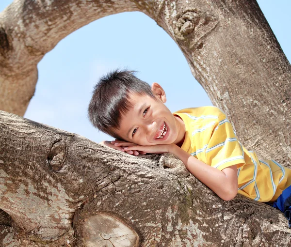 Kinderen ontspannen op een boom — Stockfoto