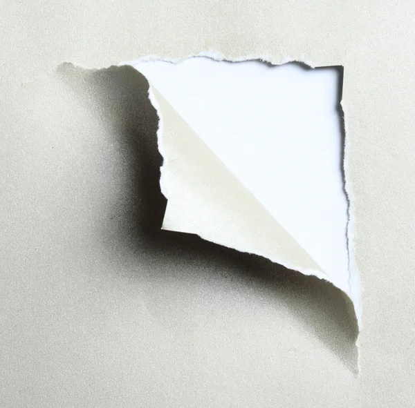 Gray paper torn — Stock Photo, Image