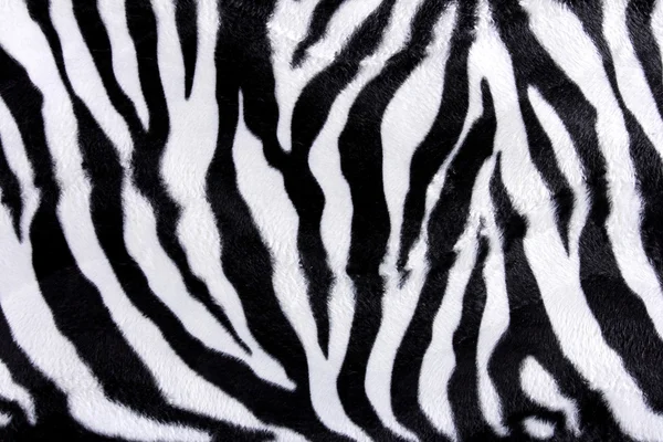 Padrão de pele de zebra — Fotografia de Stock