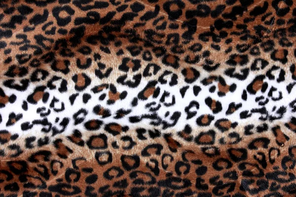 Texture of leopard skin background — Stock Photo, Image