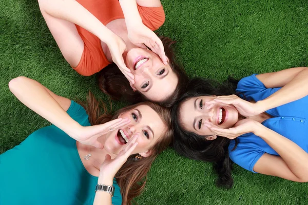 Chicas felices tumbadas en hierba verde — Foto de Stock