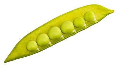 yeşil fasulye dilim