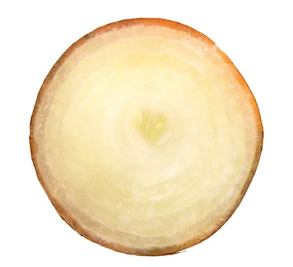 Świeże cebule kawałek cebuli — Stockfoto