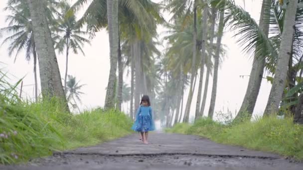 Dziewczynka w pustej drodze z drzewa kokosowego — Wideo stockowe