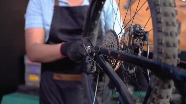 Un mécanicien de bicyclette dans un tablier vérifie la roue libre pendant la réparation d'une roue de bicyclette — Video