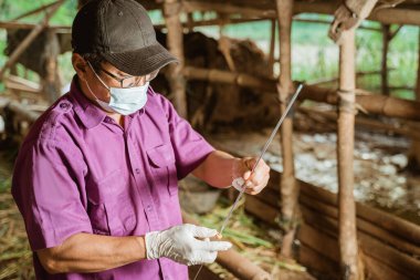 Veterinerler ineğin yapay döllenmesi için gerekli aletleri hazırlıyorlar..