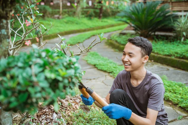 Lächelnder Junge mit Handschuhen, der mit einer Pflanzenschere Blätter schneidet — Stockfoto