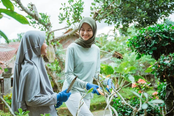 Ibu dan anak perempuan yang memelihara tanaman hias di kebun — Stok Foto