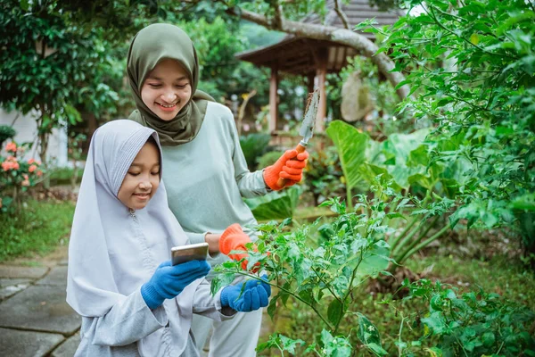 Ázsiai muszlim anya és lánya okostelefont használ kertészkedés közben — Stock Fotó