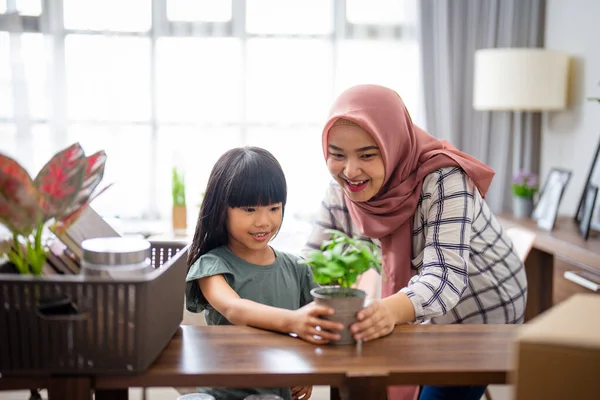 Madre musulmana e hija decorando su casa con plantas de interior — Foto de Stock