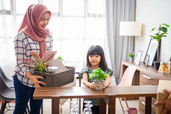 Madre musulmana e hija decorando su casa con plantas de interior —  Fotos de Stock