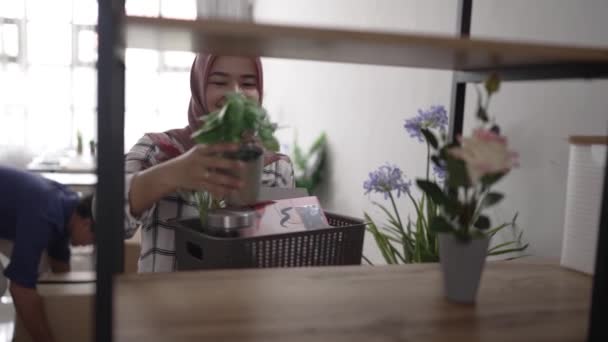 Frau mit Kopftuch schmückt Regal mit Pflanze — Stockvideo