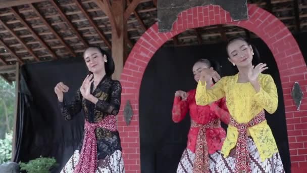 Портрет традиционных японских танцоров, практикующих — стоковое видео