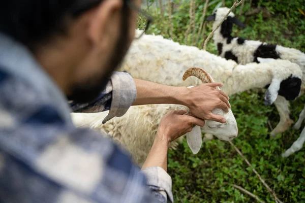 Farm Animal Trade Eid Adha Sacrifice Man Farmer Seller Goat — Stok fotoğraf