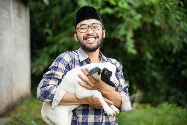 farm animal trade for eid adha sacrifice. man farmer and seller of goat and cow checking his goat