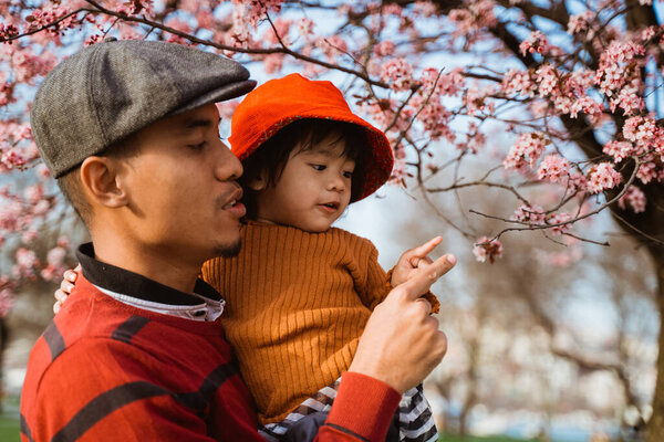 happy father and daughter looking at cherry blossom in the park