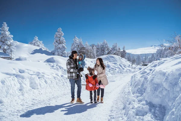 Family Walking Together Winter Beautiful Snow All Place — 스톡 사진