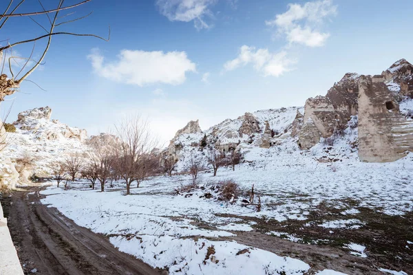 Όμορφο Πορτρέτο Μιας Κοιλάδας Capadocia Γαλοπούλα — Φωτογραφία Αρχείου