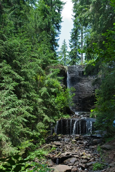 Yağmur — Stok fotoğraf