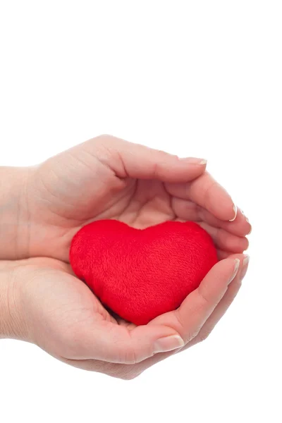 Protected heart — Stock Photo, Image