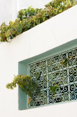 Tunus geleneksel pencere ile dekore edilmiştir rendeleyin