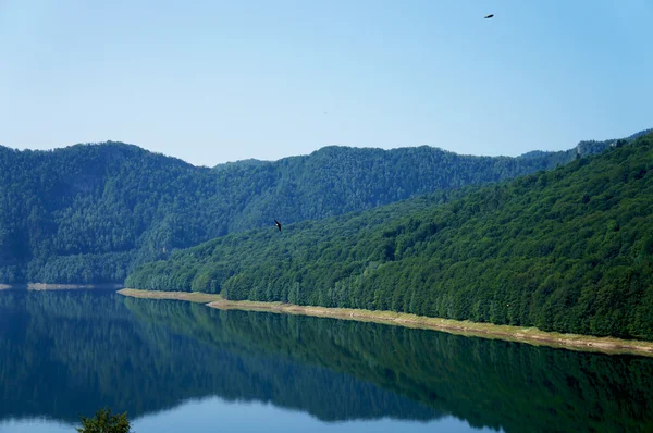 Het vidraru-meer in fagaras bergen van Roemenië — Stockfoto