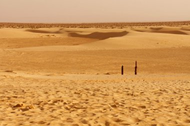 Afrika'nın sahara çöl kumulları