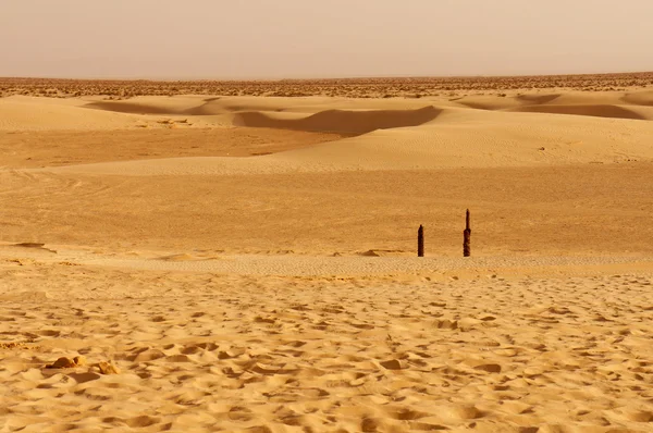 Sand dunes in the Sahara desert of Africa — Stock Photo, Image