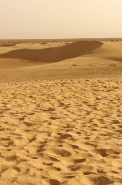Afrika'nın sahara çöl kumulları