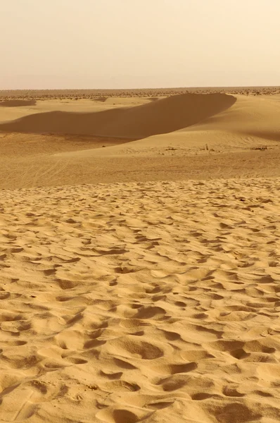 在非洲的撒哈拉沙漠的沙丘 — 图库照片