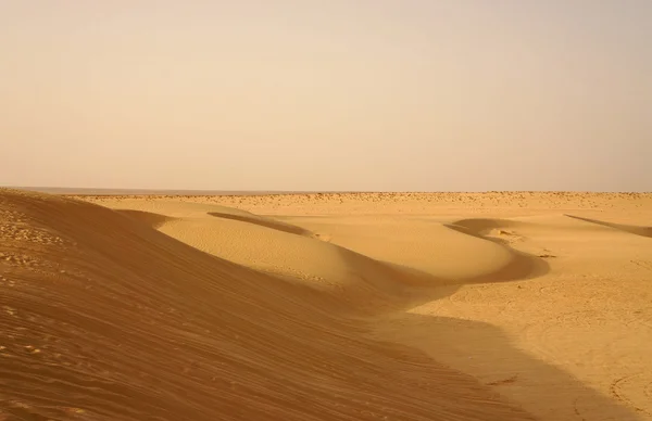 Sand dunes in the Sahara desert — Stock Photo, Image