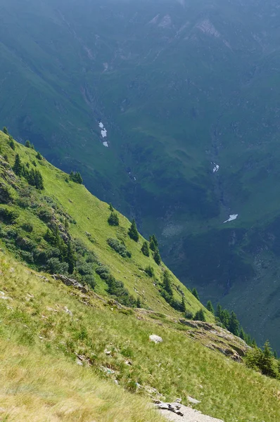 Brilliant green hillside in Romania — Stock Photo, Image