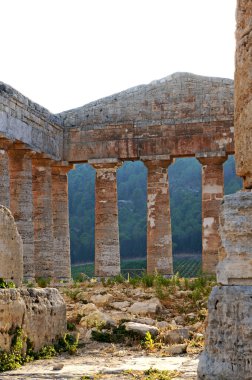 segesta Yunan tapınağı Sicilya