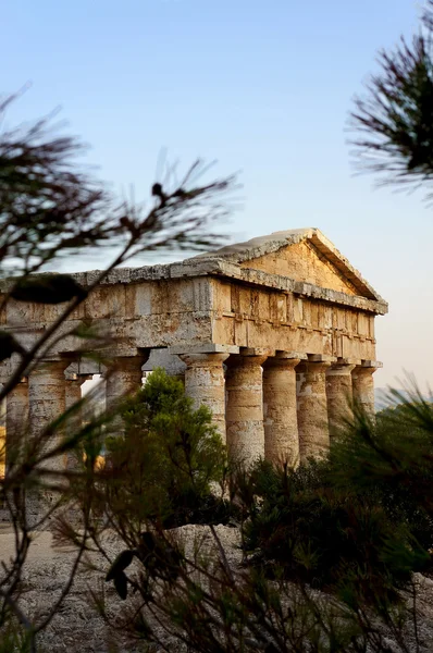 Το ελληνικό ναό της segesta στη Σικελία — Φωτογραφία Αρχείου