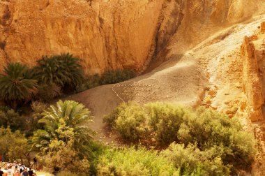 Tunus chebika vaha hoş geldiniz