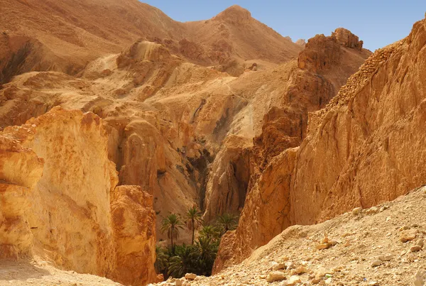 Montañas doradas del oasis de Chebika en Túnez —  Fotos de Stock