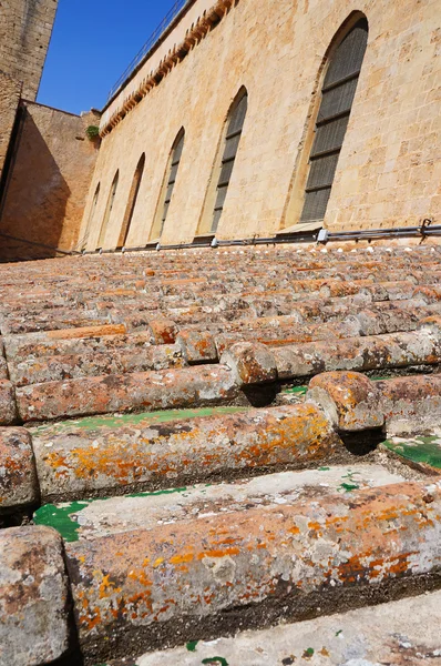 Tiled roof of an historical building — Stock Photo, Image
