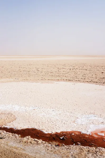 The salt lake of Chott el-Jerid in Tunisia — Stock Photo, Image